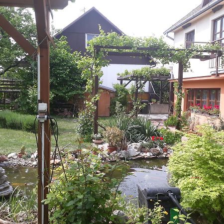 Pension Zeleny Strom Mikulov Zewnętrze zdjęcie