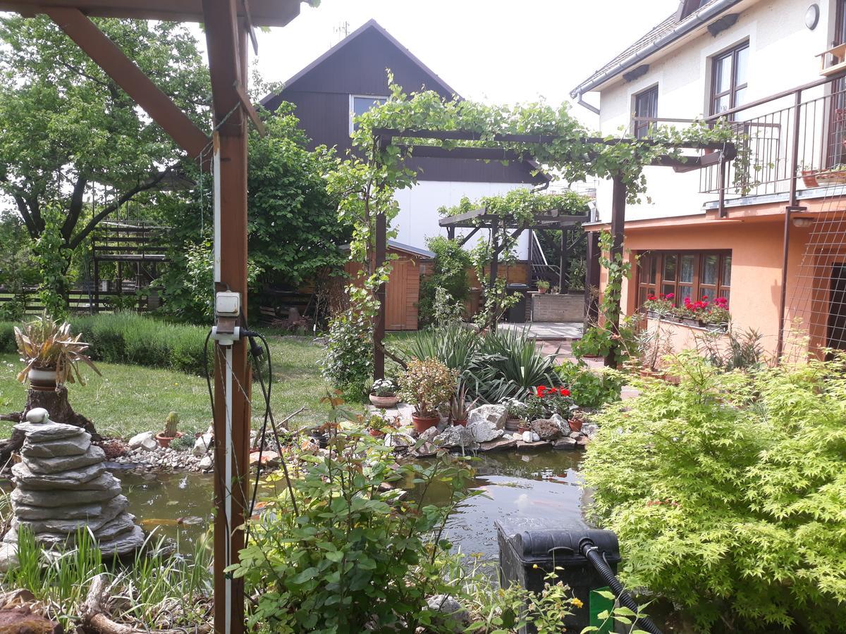 Pension Zeleny Strom Mikulov Zewnętrze zdjęcie